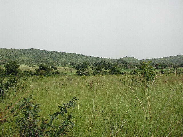File:Luprila Grasslands in Krauanagaz.jpg