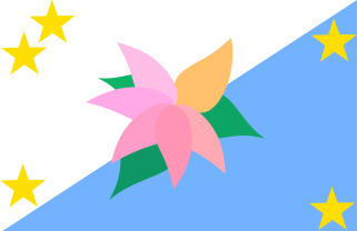 File:Flag of FiHami.png