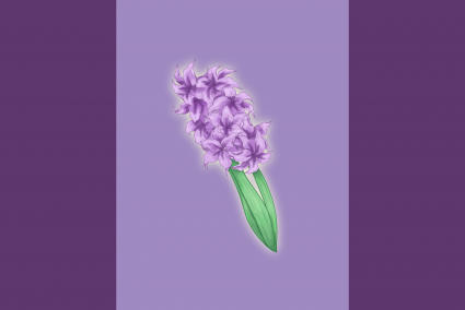 File:Purple hyacinth 804856.png