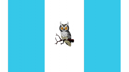 File:Aidenfieeld Flag.png