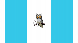 Aidenfieeld Flag.png