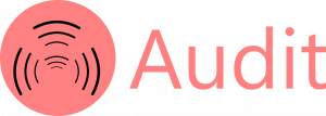 Audit Logo.png