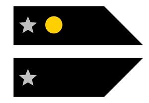Federal Army O-6.jpg
