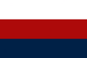 Flag of Lužnyčka