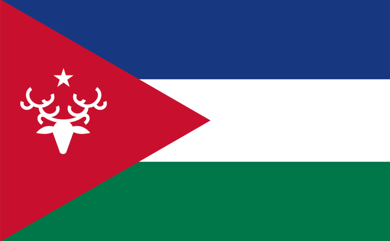 File:Flag Of Folster.png