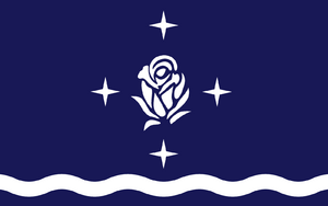 Flag of thalapadis.png