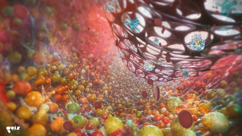 File:Immunosystemic Existence.jpg