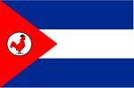 Flag of Puerto Pollo