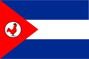 Flag of Puerto Pollo