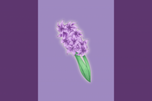 Purple hyacinth 804856.png
