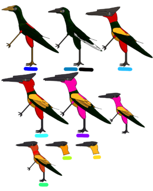 REHY ETHNIC GROUPS 1.png