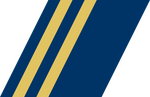 Coast Guard racing stripe