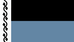 Slavonyyan flag.png